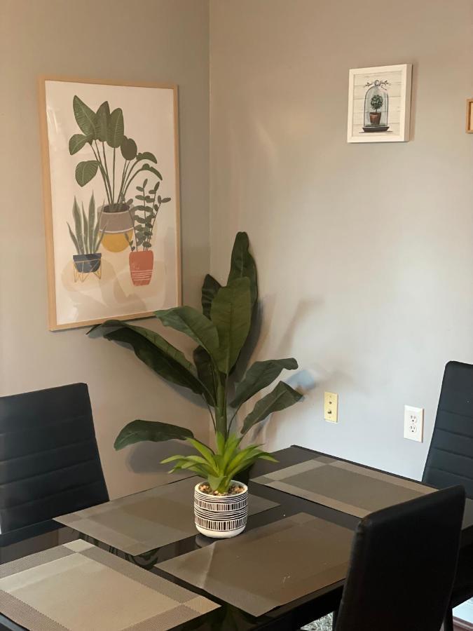 Appartamento Cute 2-Brm Walkout Apt With Pool Table And Theater Lexington Esterno foto